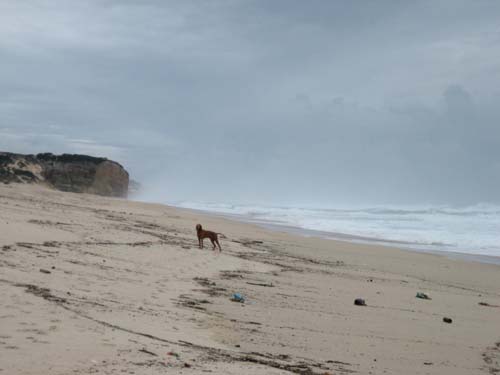 Gronho Beach